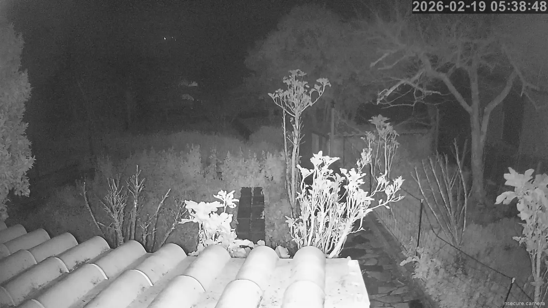 Capture from Feb 19, 2026 at 05:39 AM