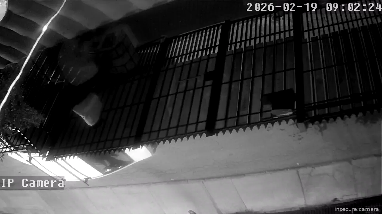 Capture from Feb 19, 2026 at 01:02 AM