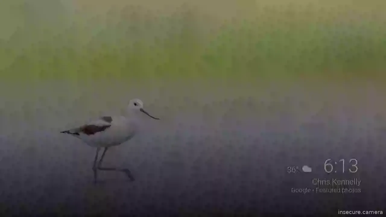 Camera in United States