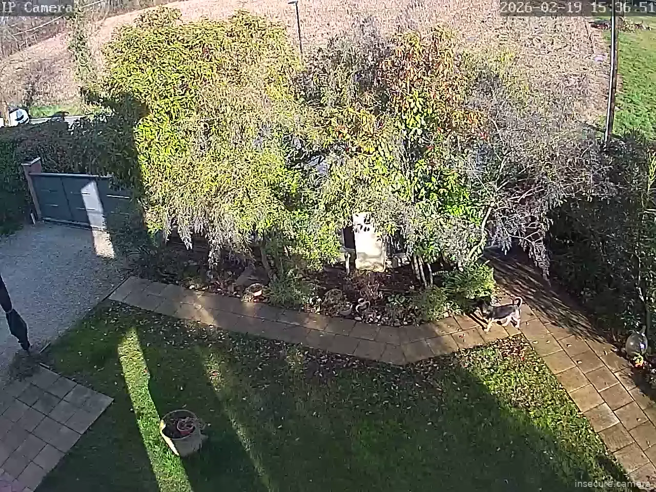 Capture from Feb 19, 2026 at 02:37 PM