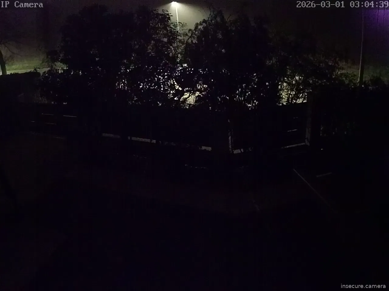 Capture from Mar 01, 2026 at 02:04 AM