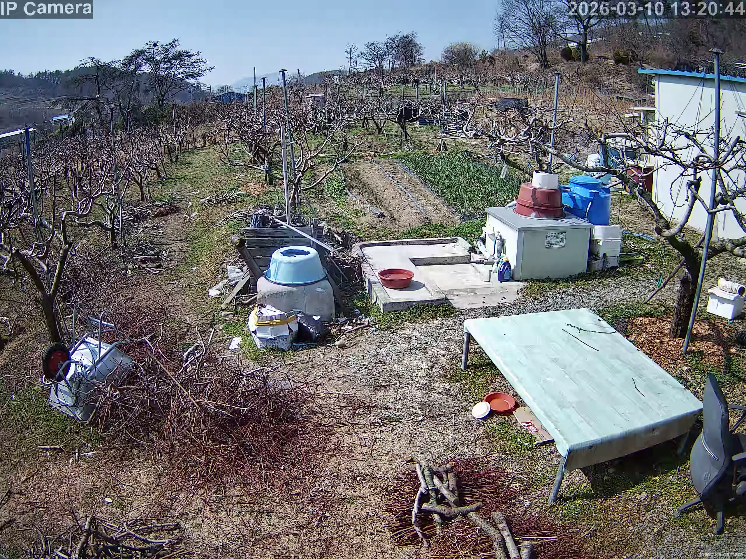 Capture from Mar 10, 2026 at 04:21 AM