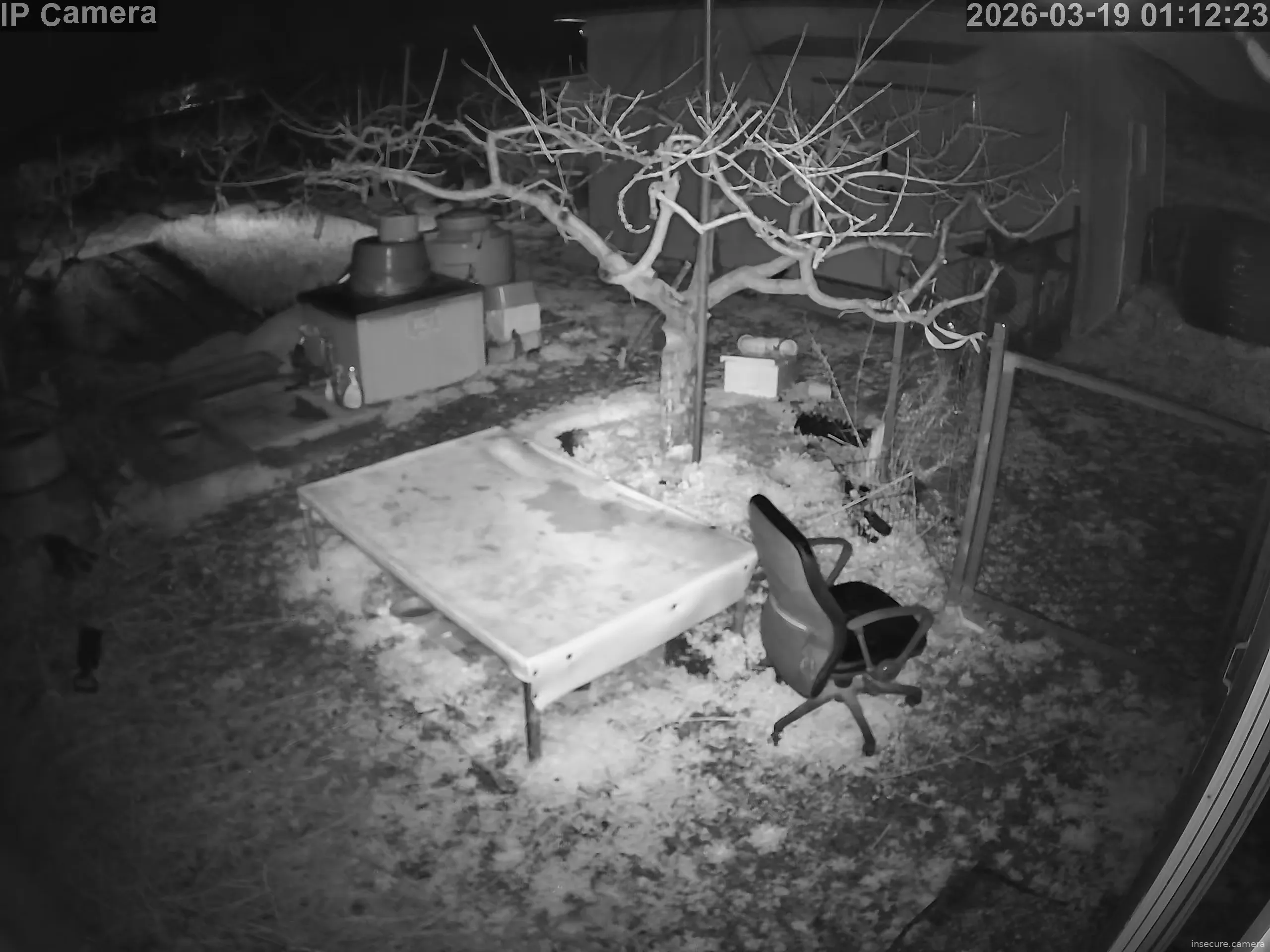 Camera in South Korea