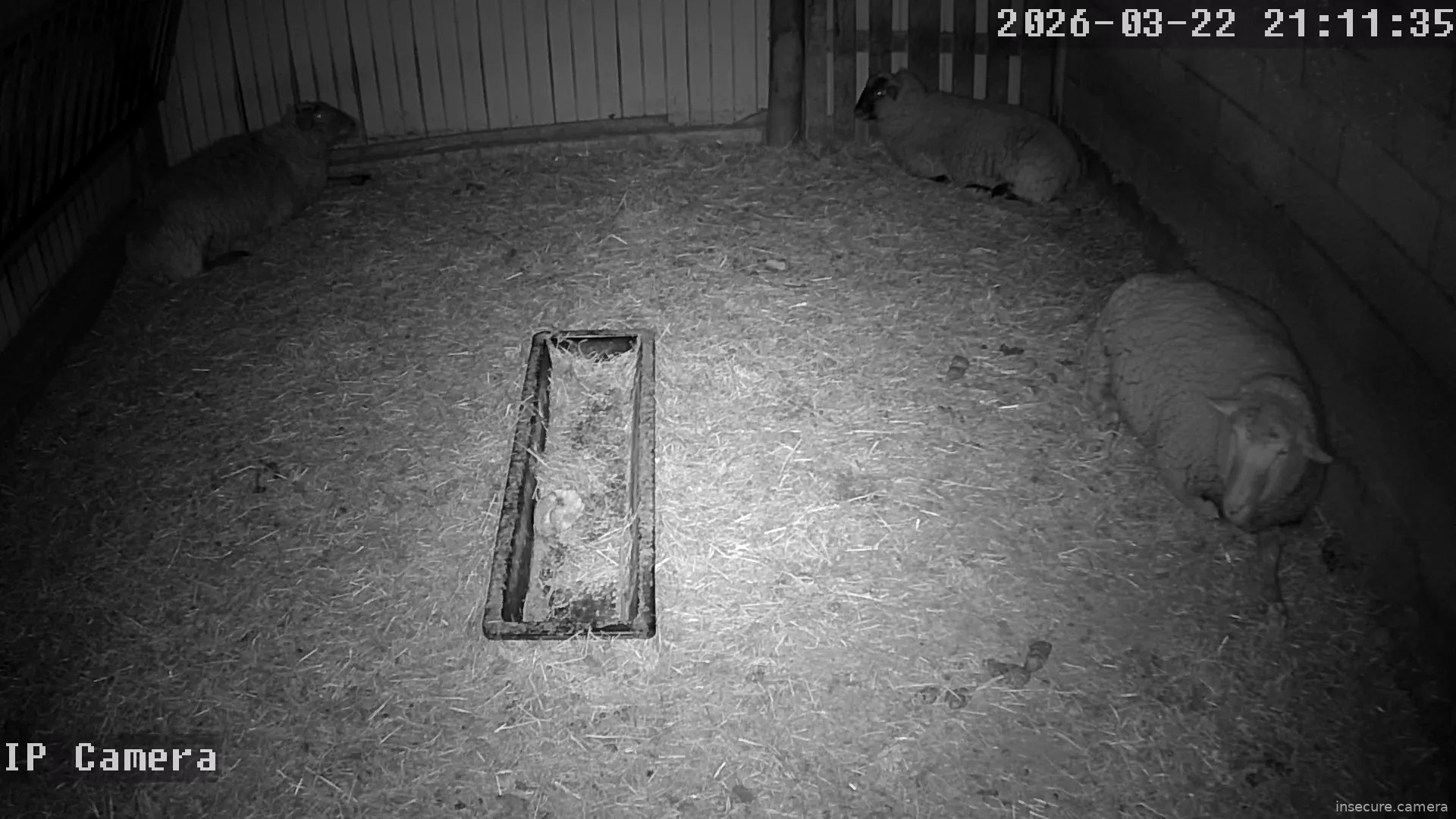 Capture from Mar 22, 2026 at 07:11 PM