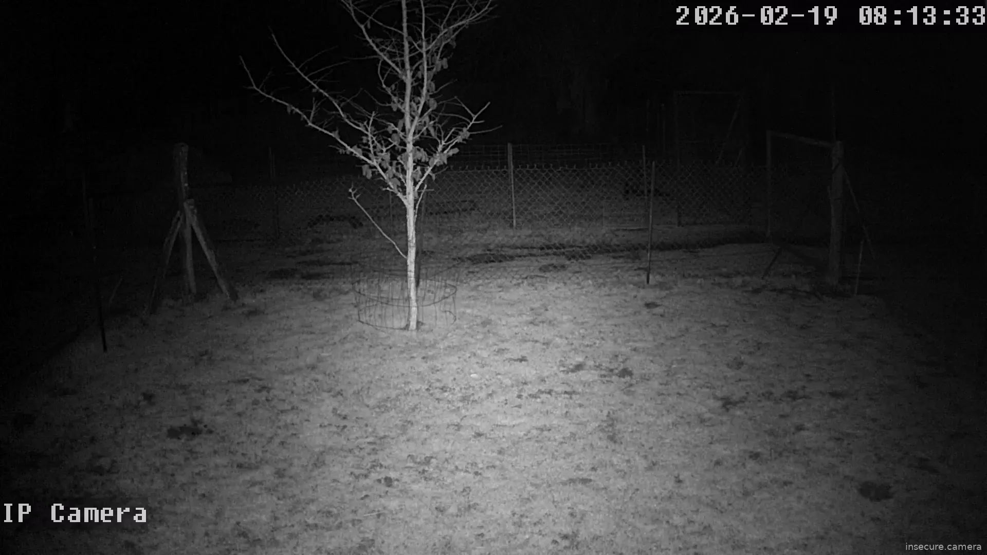 Capture from Feb 19, 2026 at 12:14 AM