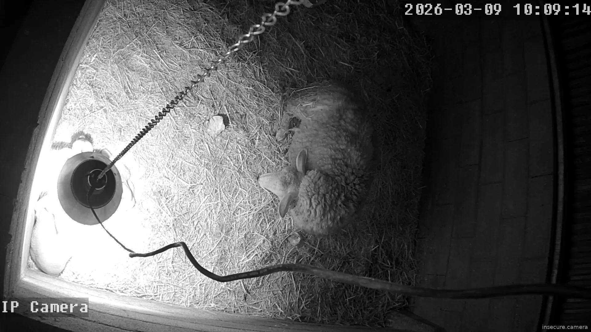 Capture from Mar 09, 2026 at 02:09 AM