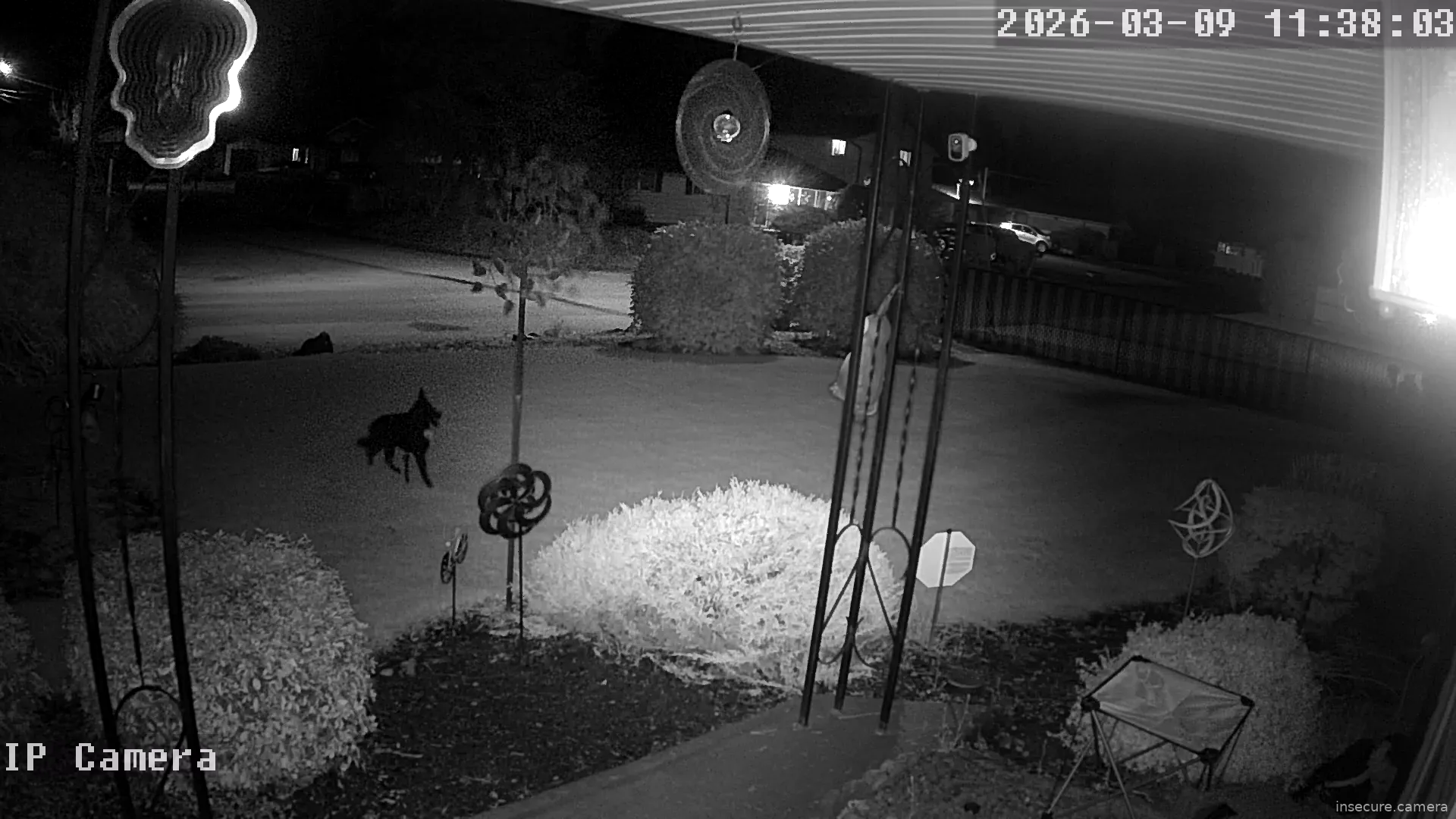 Camera in United States