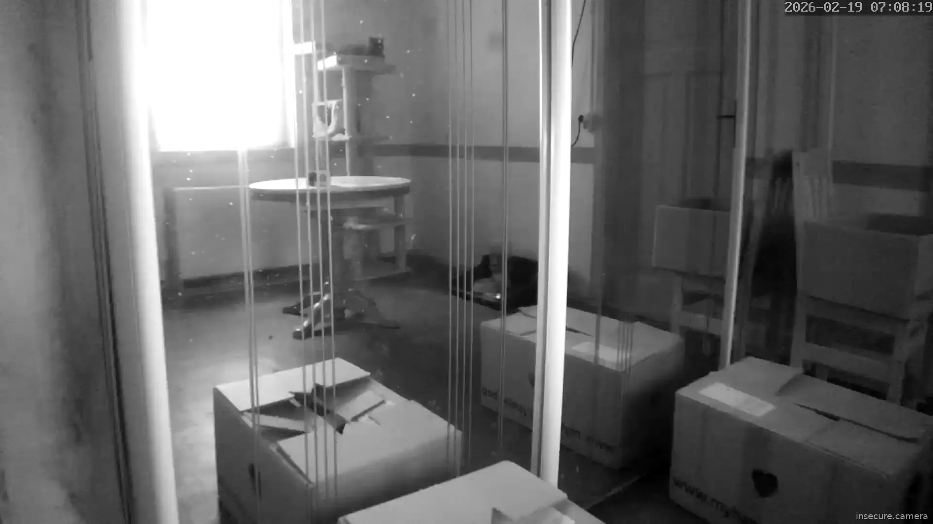 Capture from Feb 19, 2026 at 06:08 AM