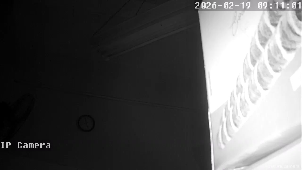 Capture from Feb 19, 2026 at 01:11 AM