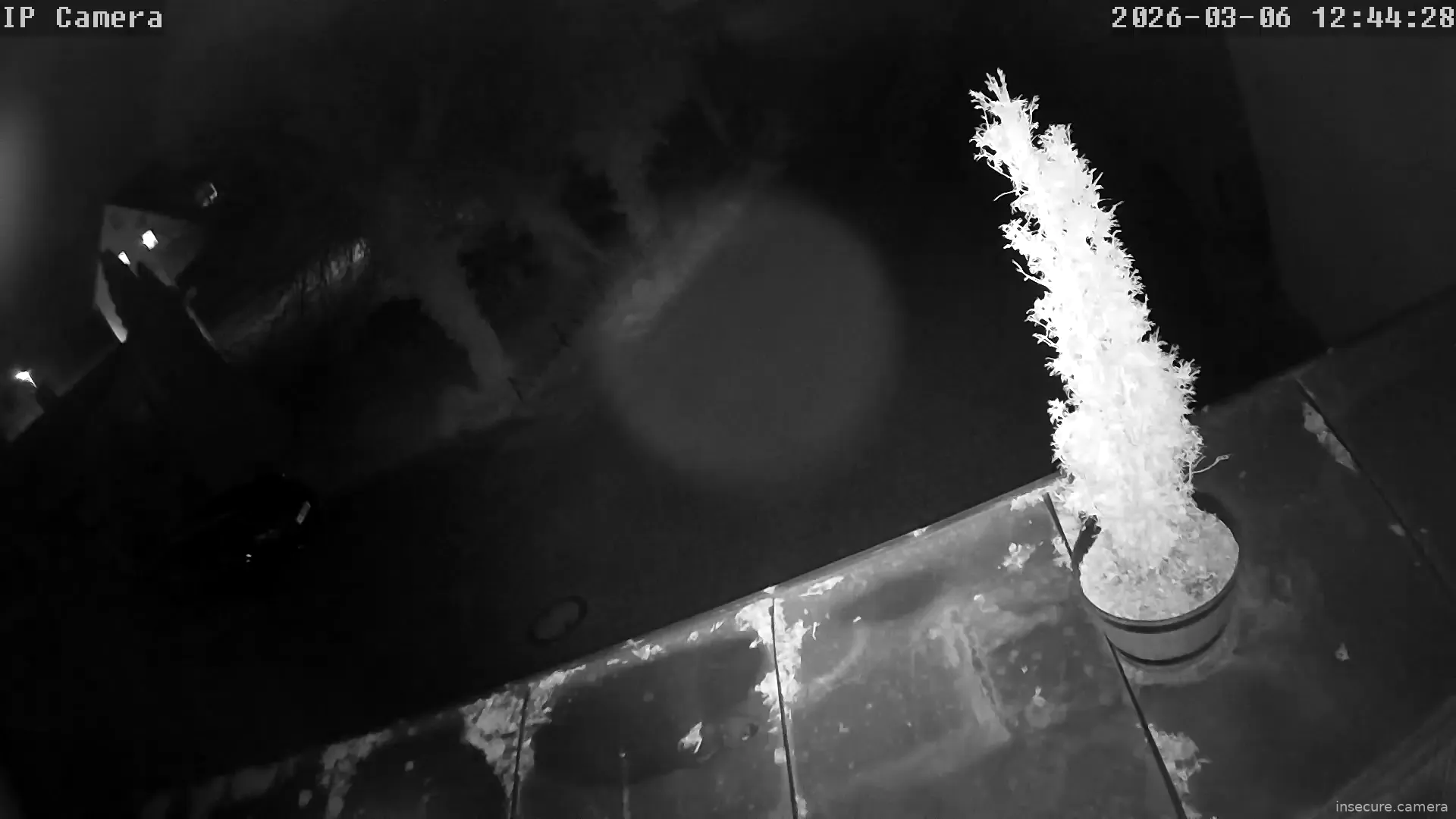 Capture from Mar 06, 2026 at 04:44 AM