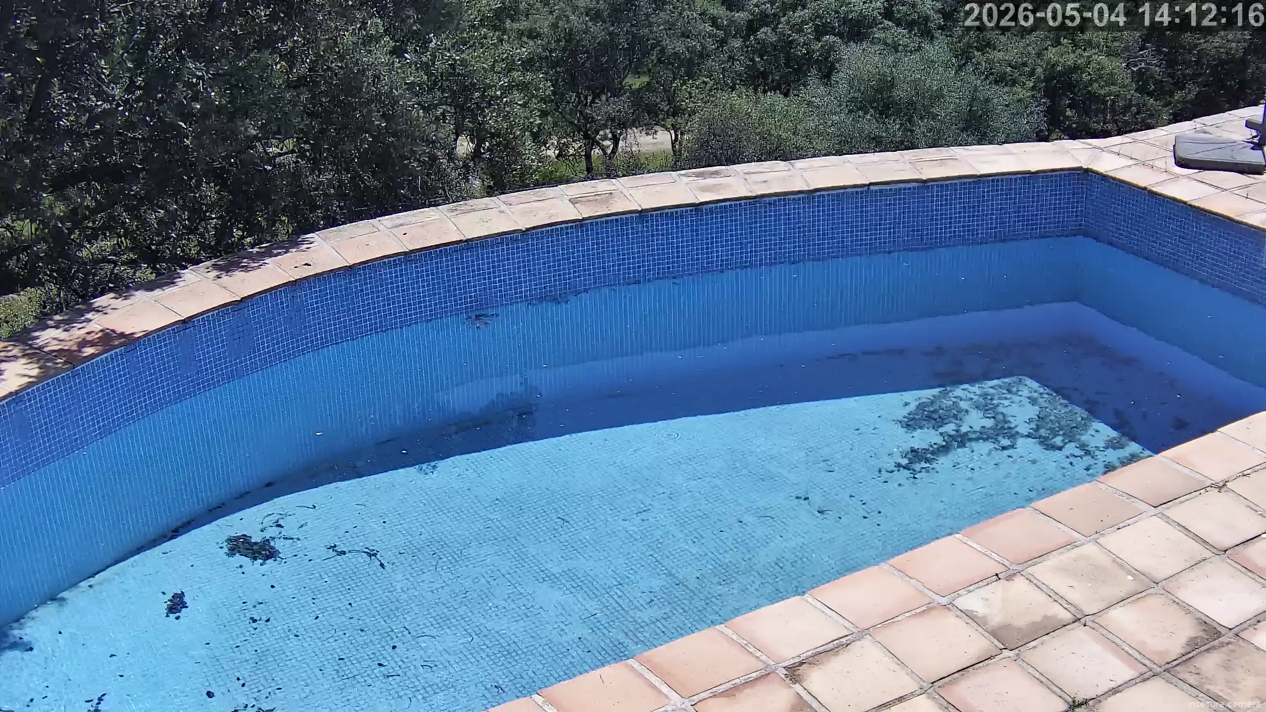 Camera in Spain