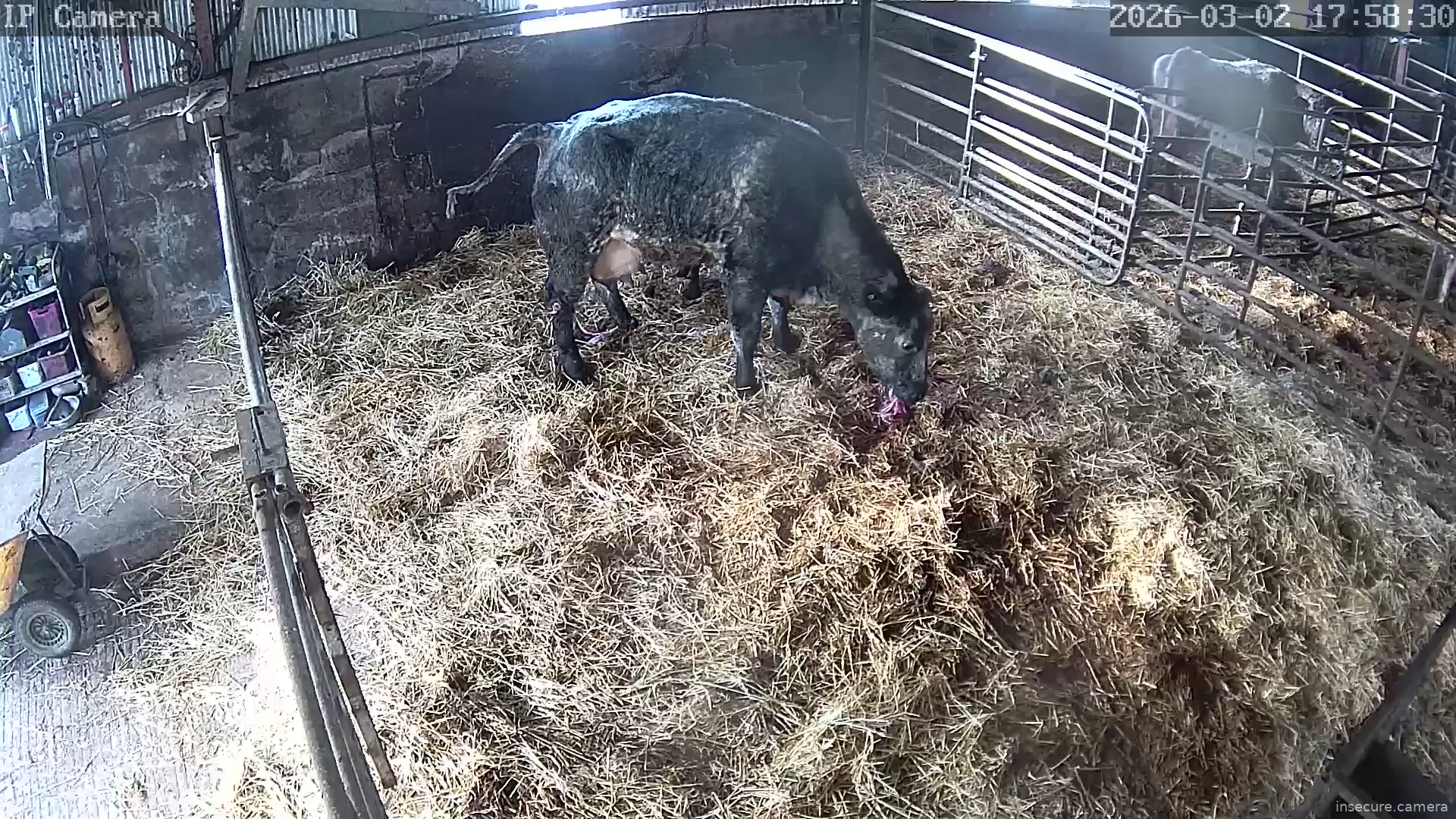 Capture from Mar 02, 2026 at 09:58 AM