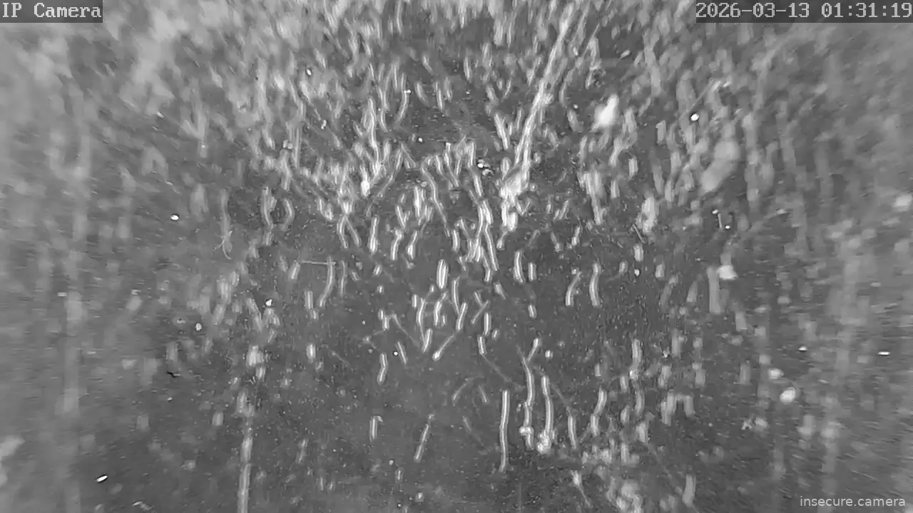 Capture from Mar 13, 2026 at 06:31 AM