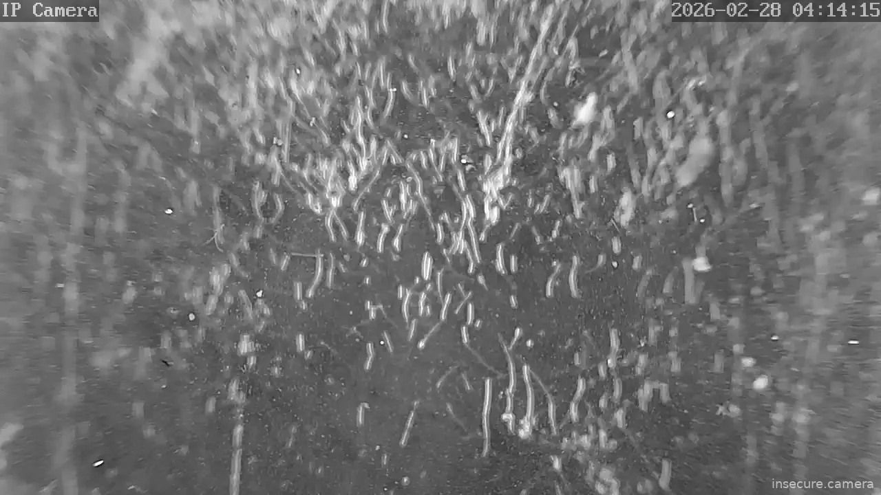 Capture from Feb 28, 2026 at 09:14 AM