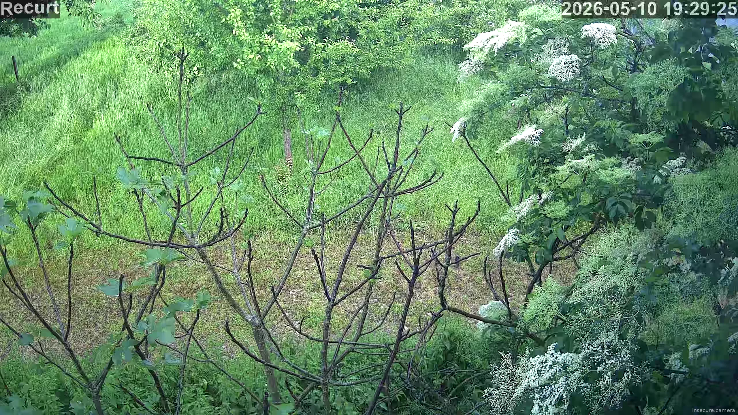 Capture from May 10, 2026 at 05:30 PM