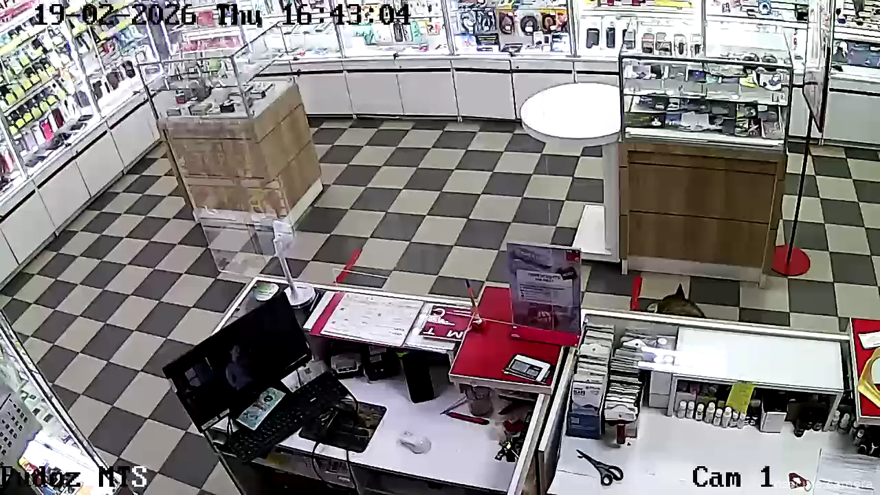 Capture from Feb 19, 2026 at 01:59 PM