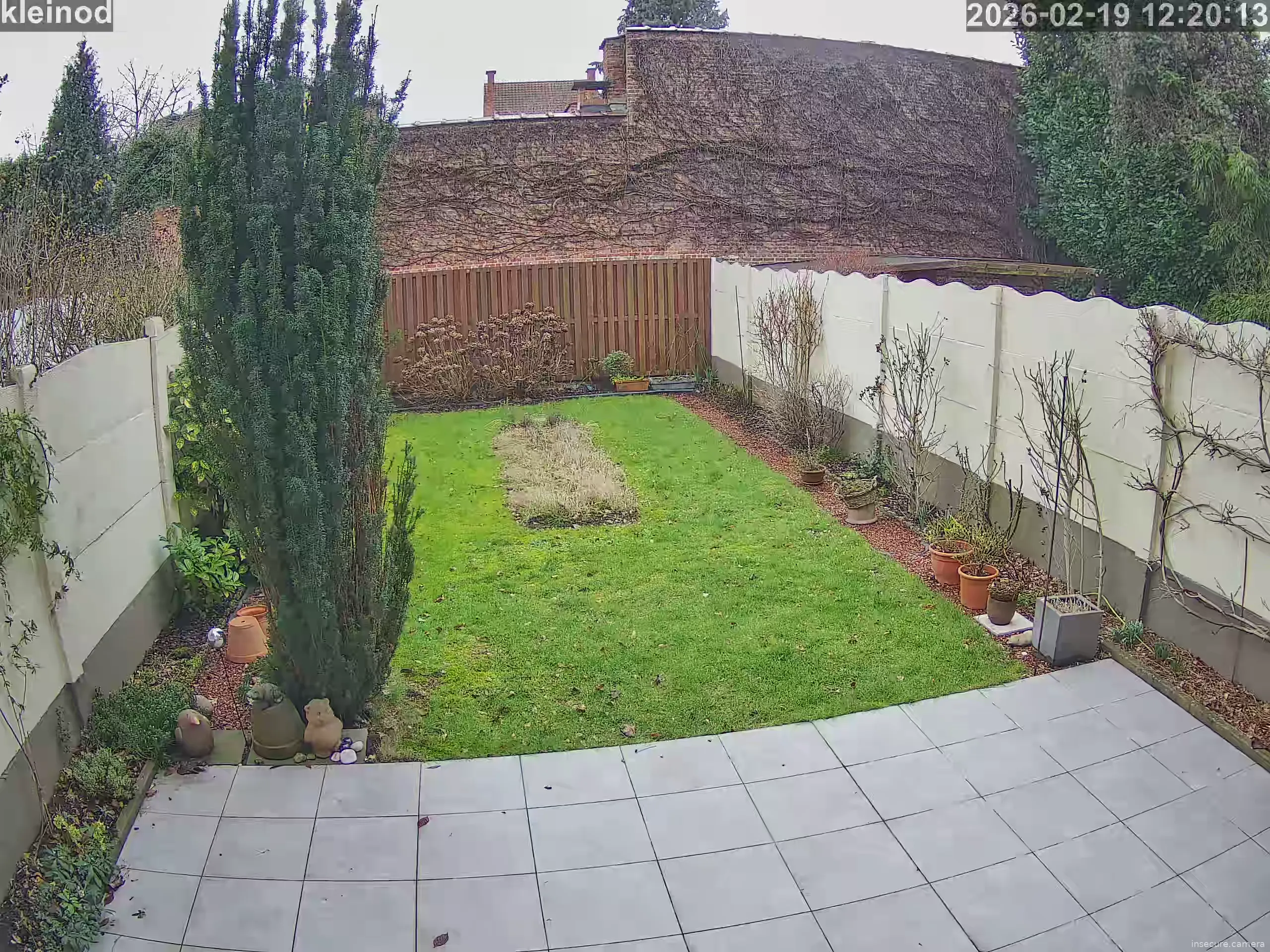 Capture from Feb 19, 2026 at 11:21 AM