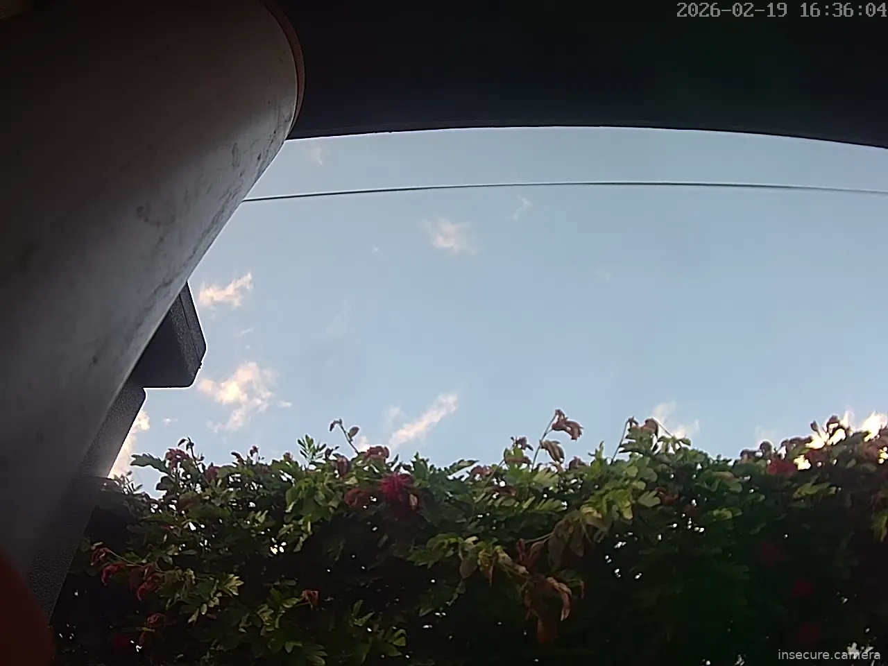 Capture from Feb 20, 2026 at 12:36 AM