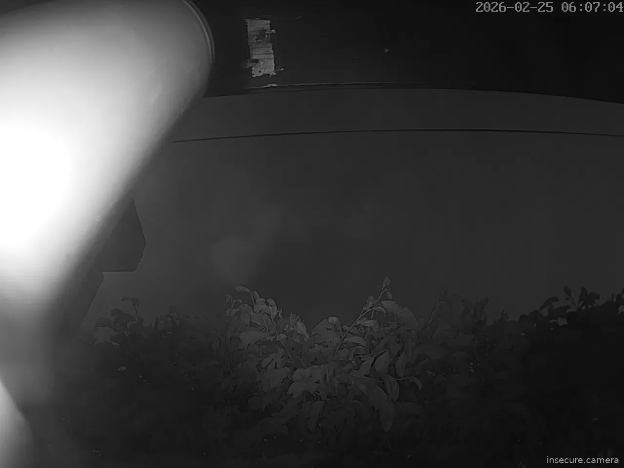 Capture from Feb 25, 2026 at 02:07 PM