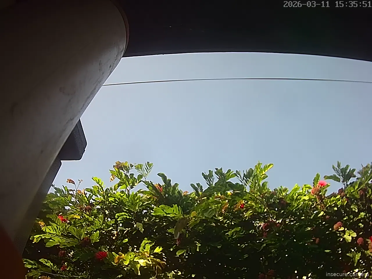 Capture from Mar 11, 2026 at 10:36 PM