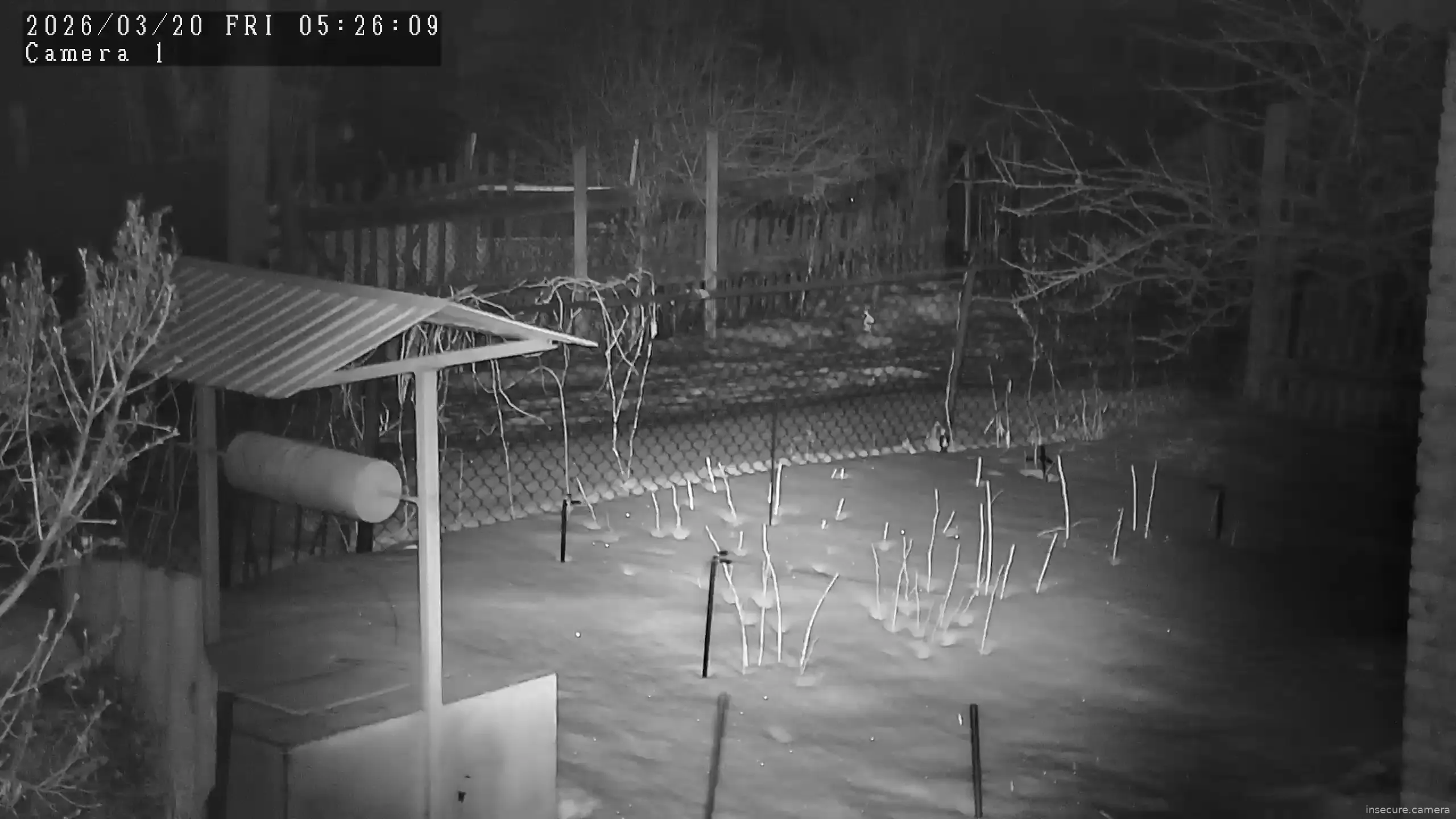 Capture from Mar 19, 2026 at 11:26 PM