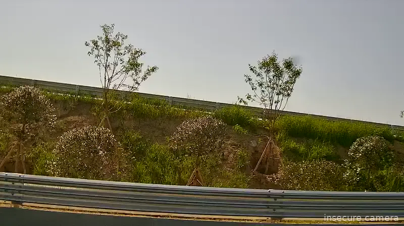 Camera in South Korea