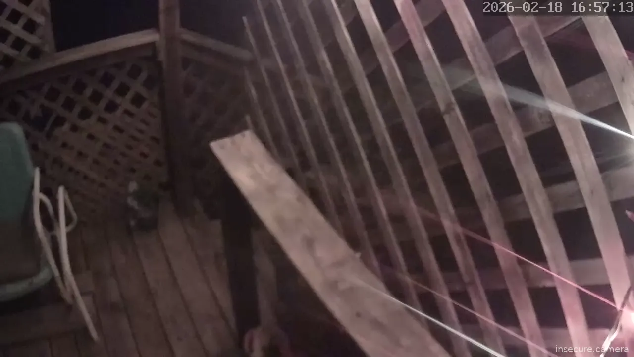 Capture from Feb 19, 2026 at 12:57 AM