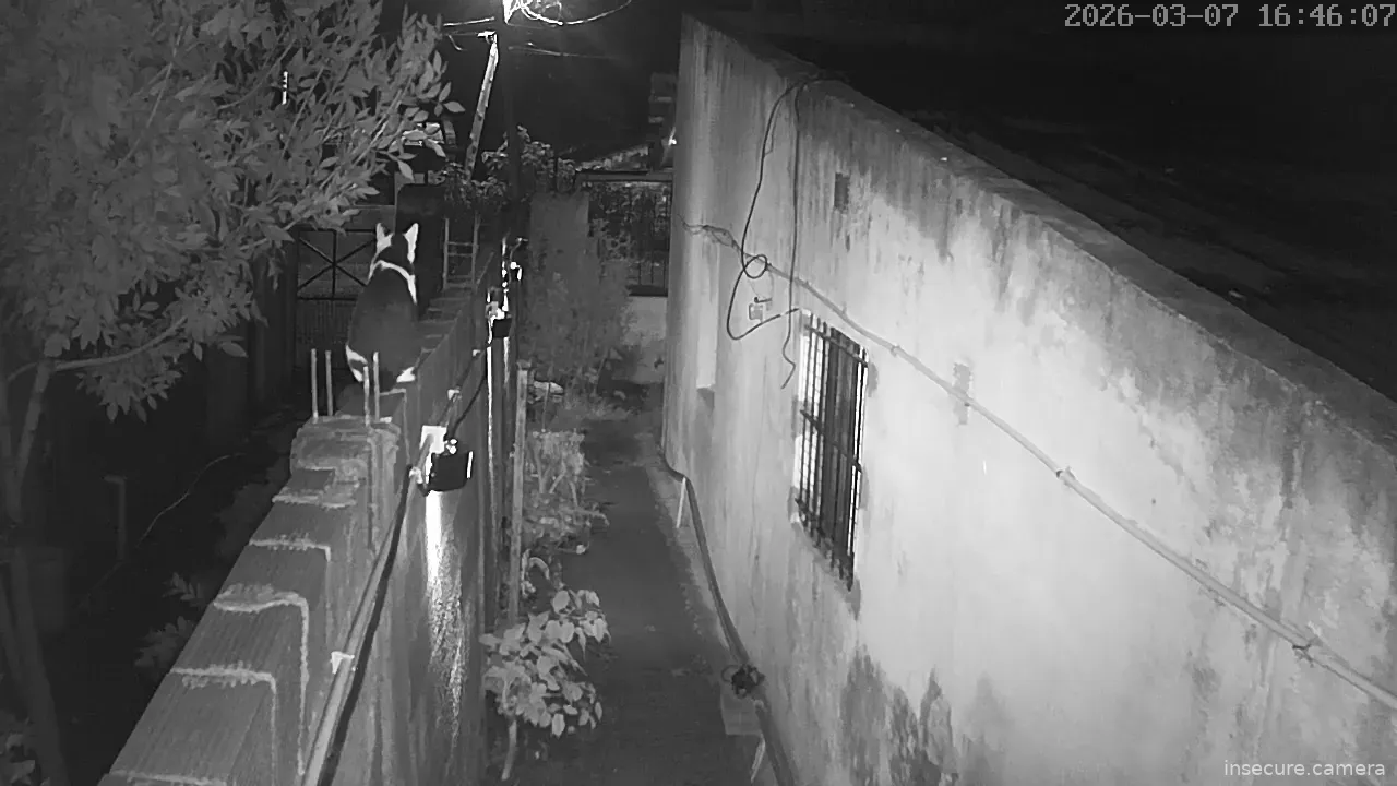 Capture from Mar 07, 2026 at 08:46 AM