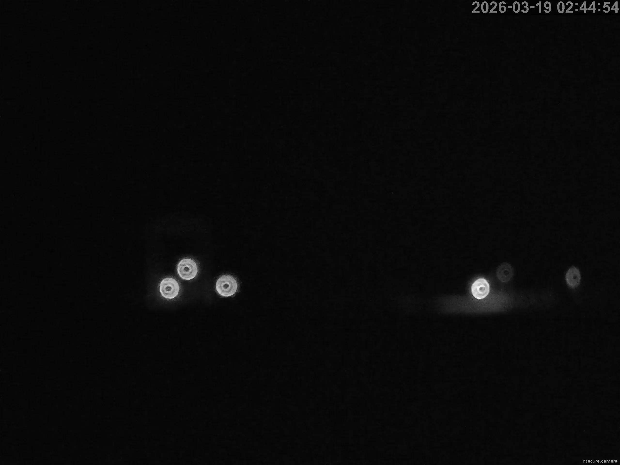 Capture from Mar 19, 2026 at 01:45 AM