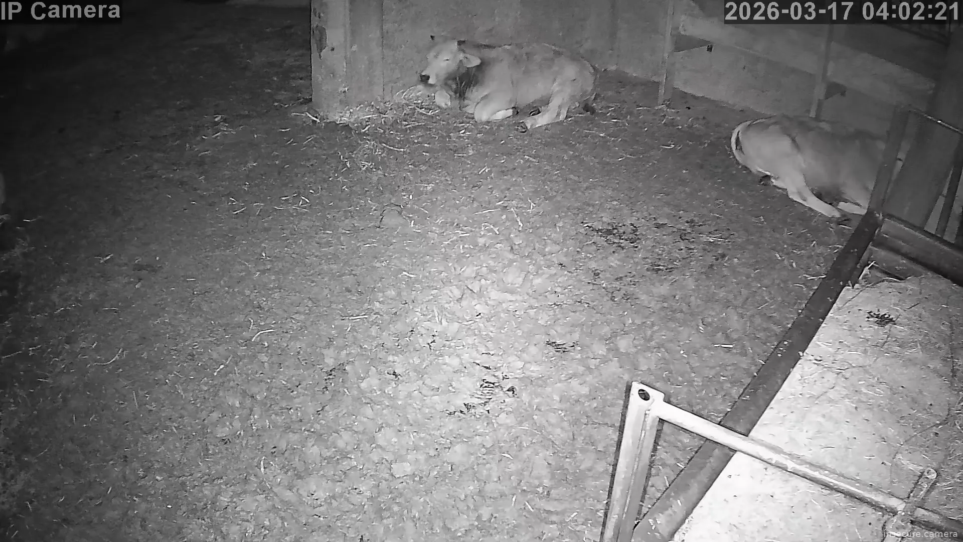 Capture from Mar 16, 2026 at 08:02 PM