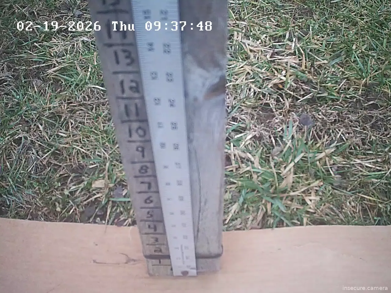 Capture from Feb 19, 2026 at 02:38 PM