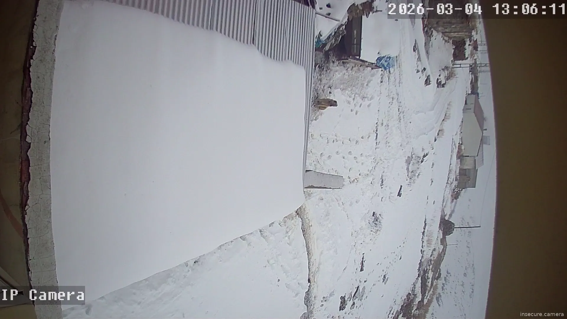 Capture from Mar 04, 2026 at 05:06 AM