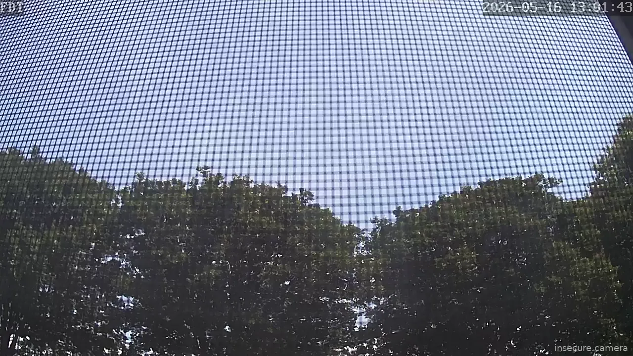 Capture from May 16, 2026 at 05:02 PM