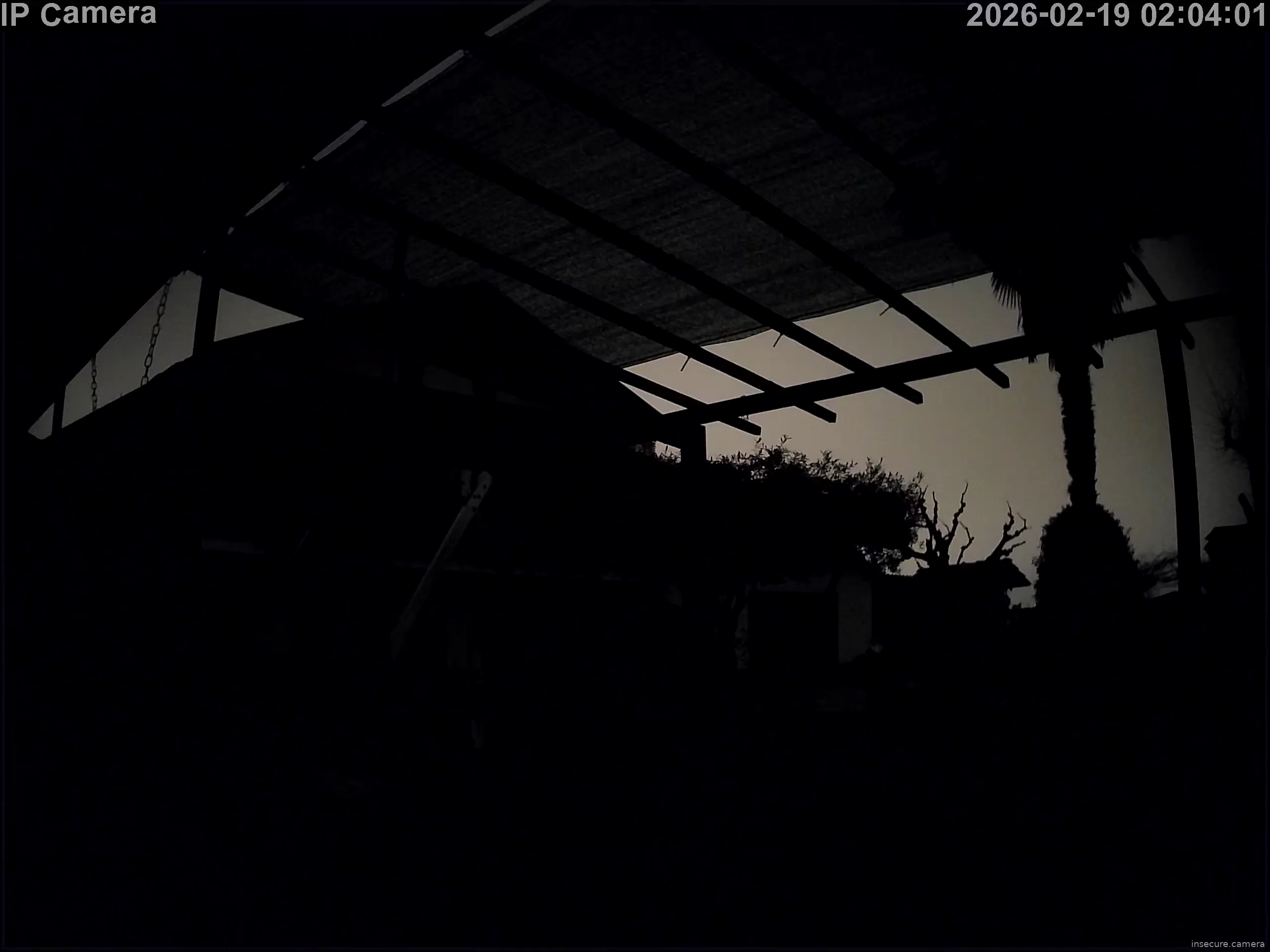 Capture from Feb 19, 2026 at 01:04 AM