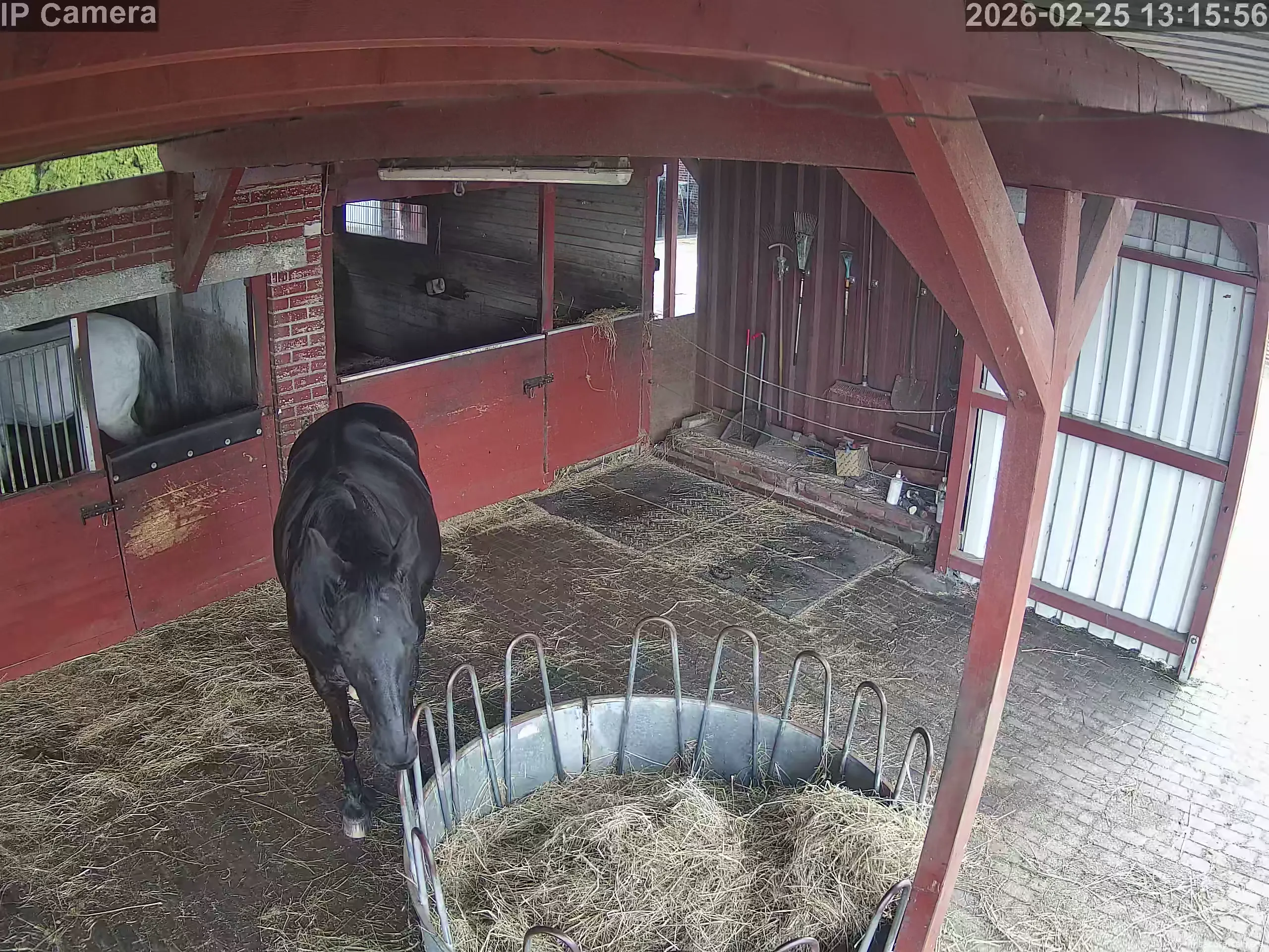 Capture from Feb 25, 2026 at 12:16 PM