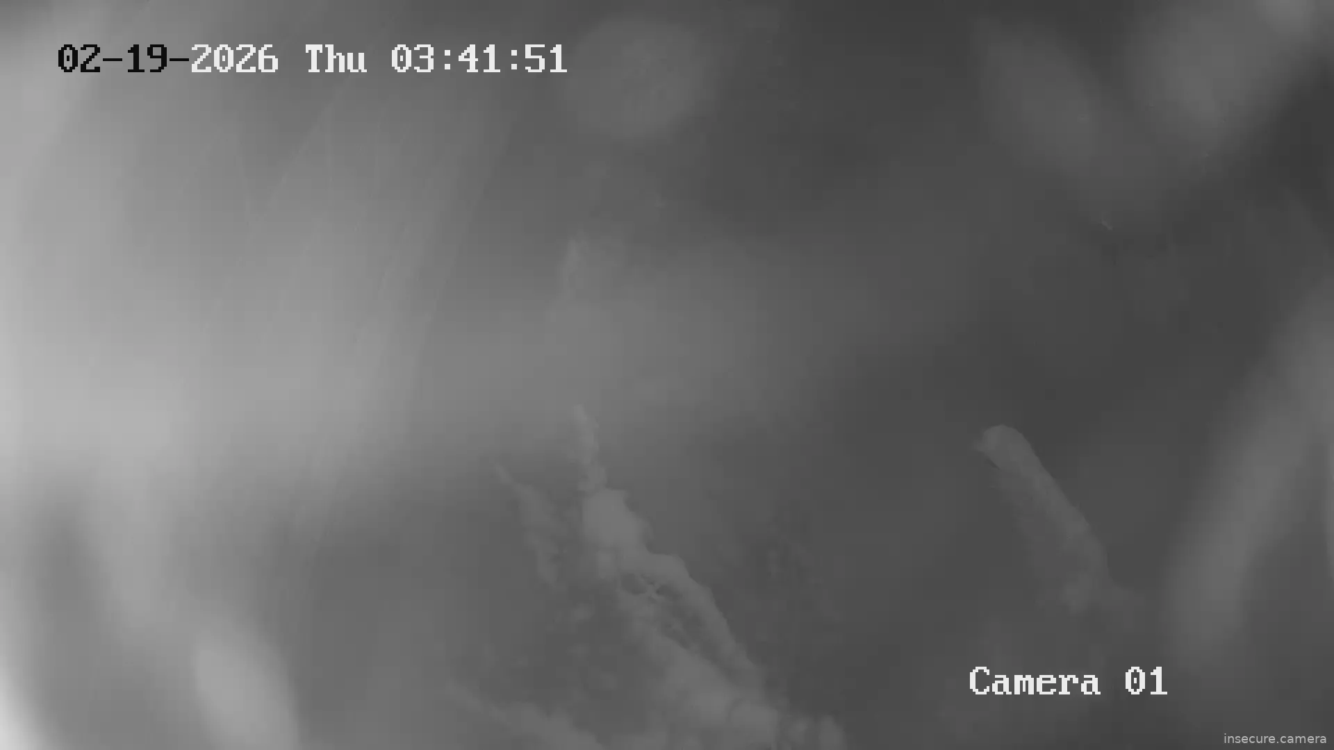 Capture from Feb 19, 2026 at 01:03 AM