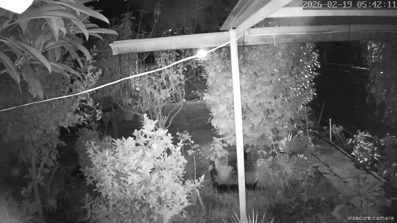 Capture from Feb 19, 2026 at 08:42 AM