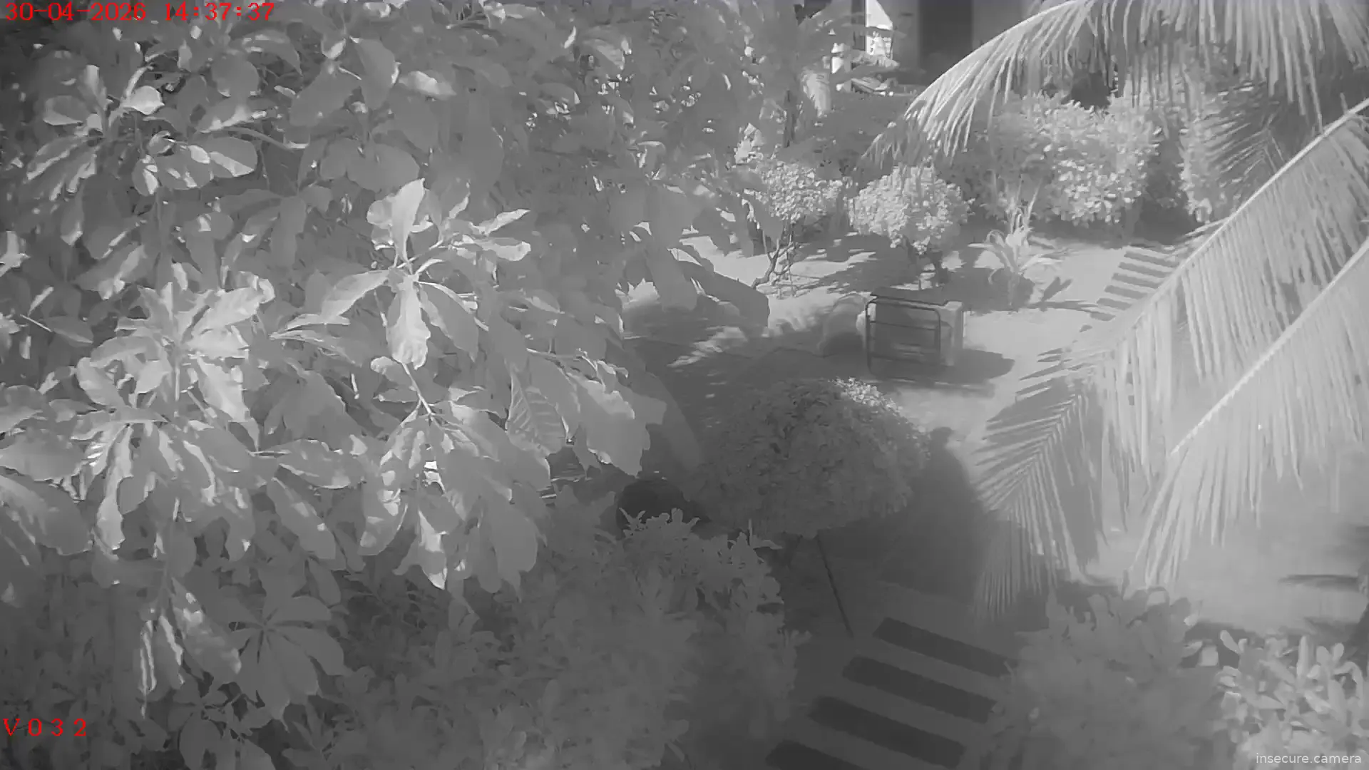 Capture from Apr 30, 2026 at 07:37 AM