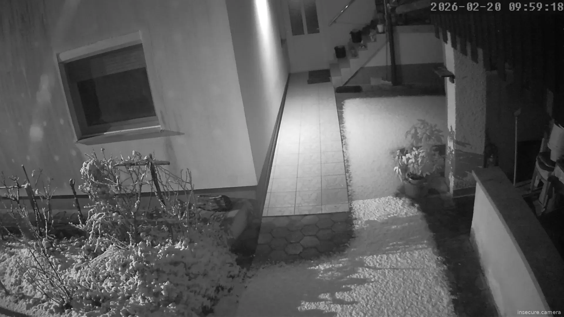 Capture from Feb 20, 2026 at 01:59 AM