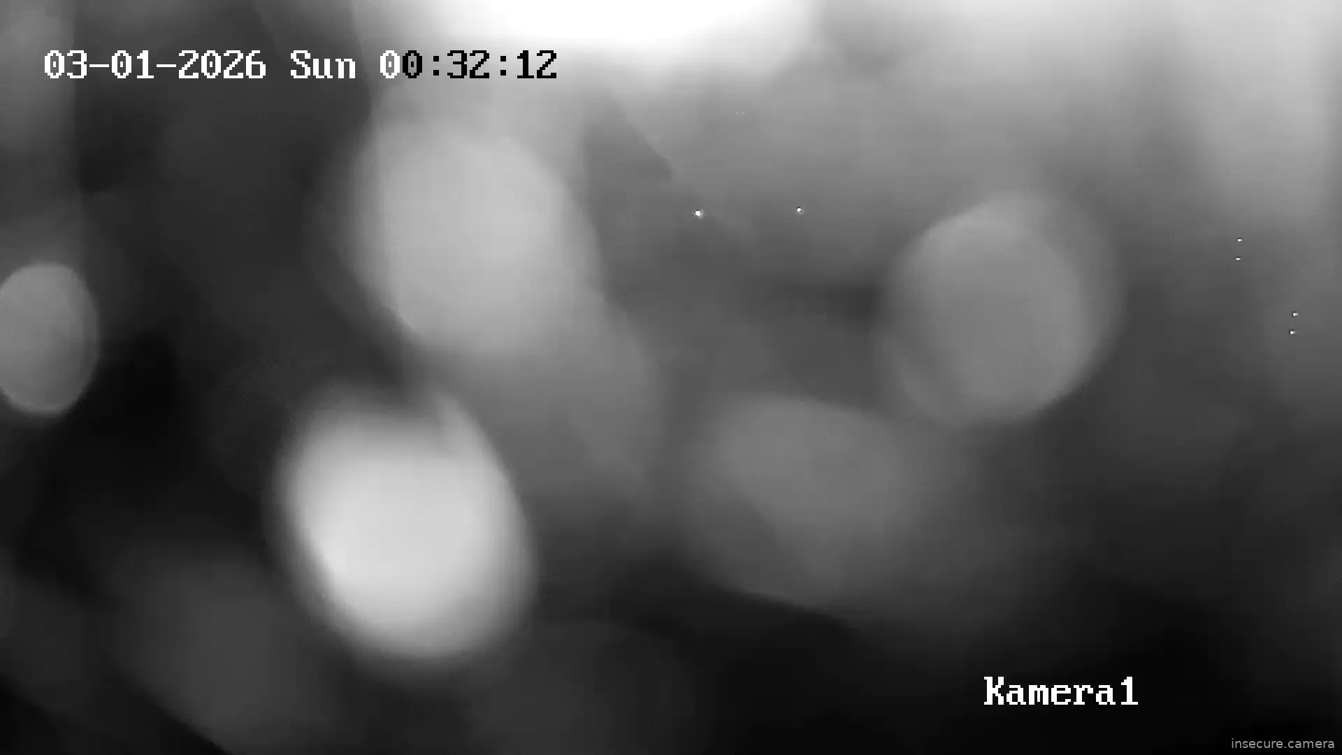 Capture from Feb 28, 2026 at 11:47 PM