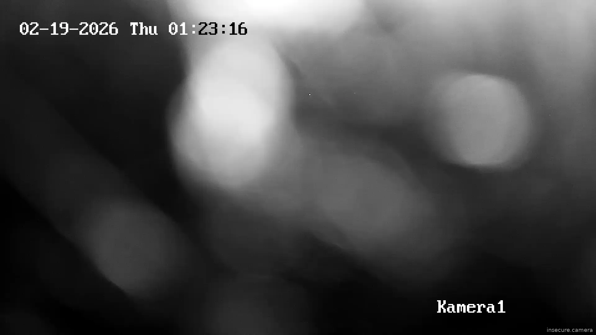 Capture from Feb 19, 2026 at 12:38 AM