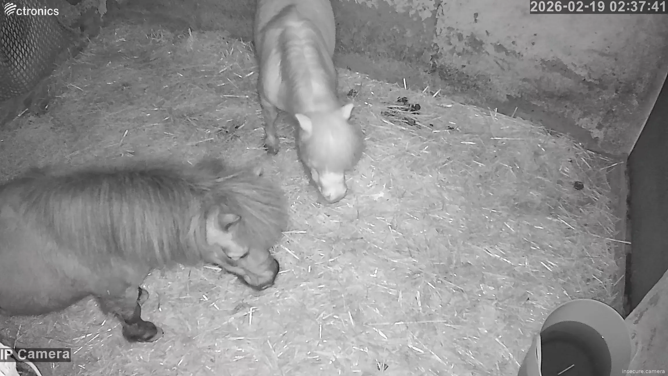 Capture from Feb 19, 2026 at 01:38 AM