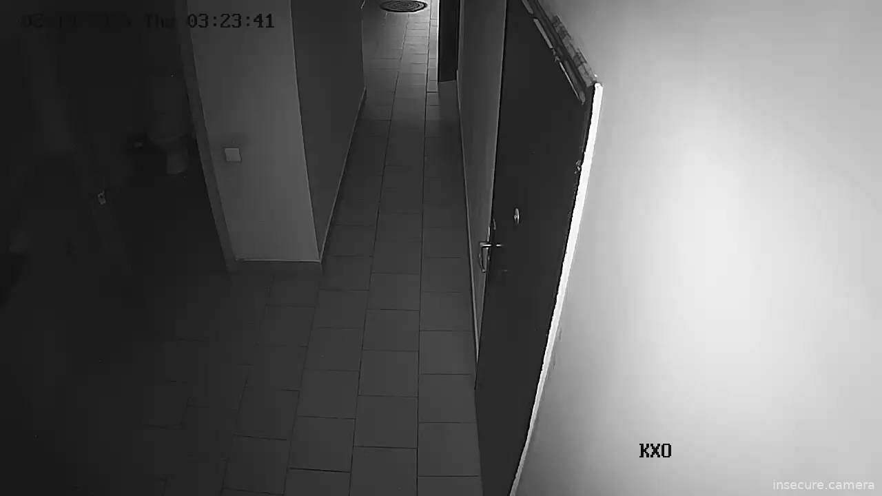 Capture from Feb 19, 2026 at 12:24 AM