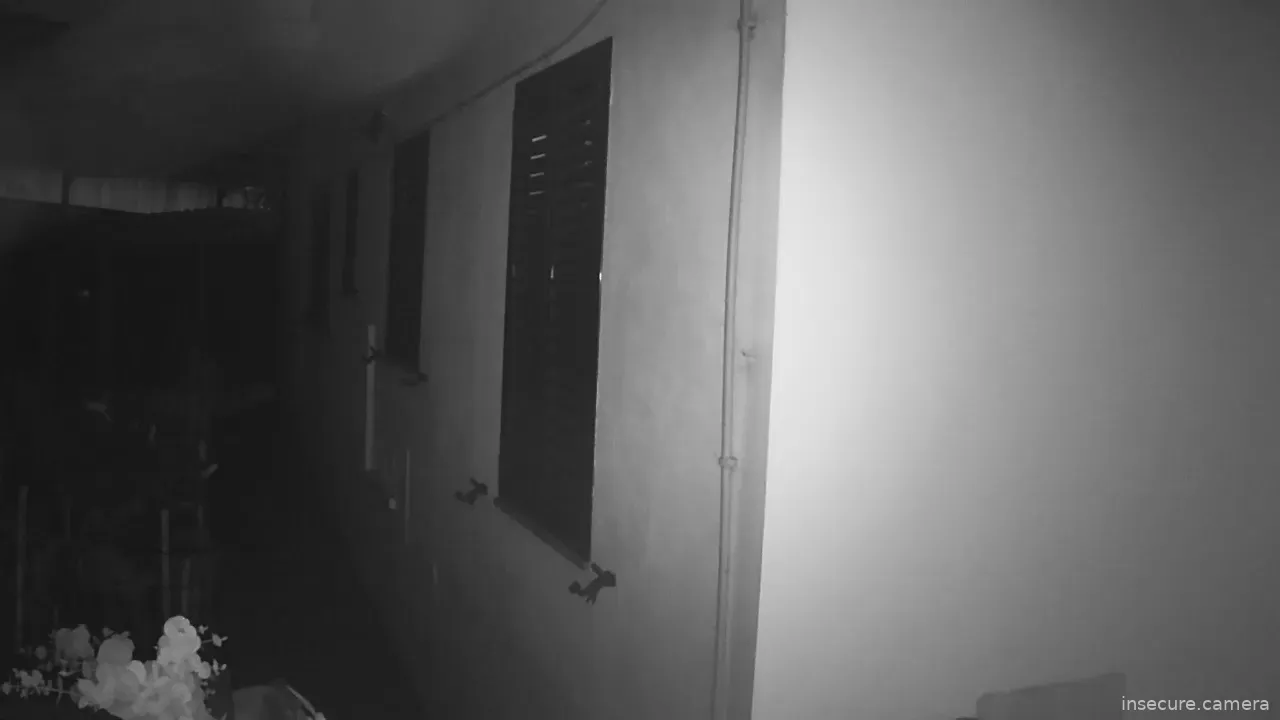 Capture from Mar 12, 2026 at 10:51 PM