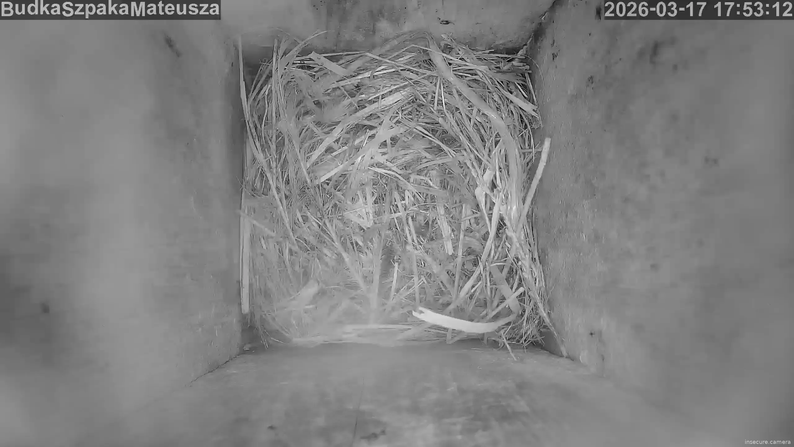 Capture from Mar 17, 2026 at 04:53 PM