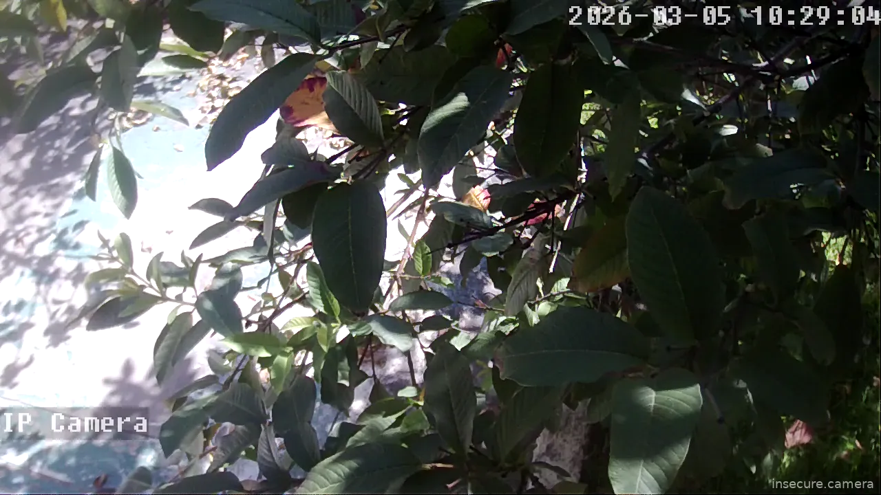 Camera in United States