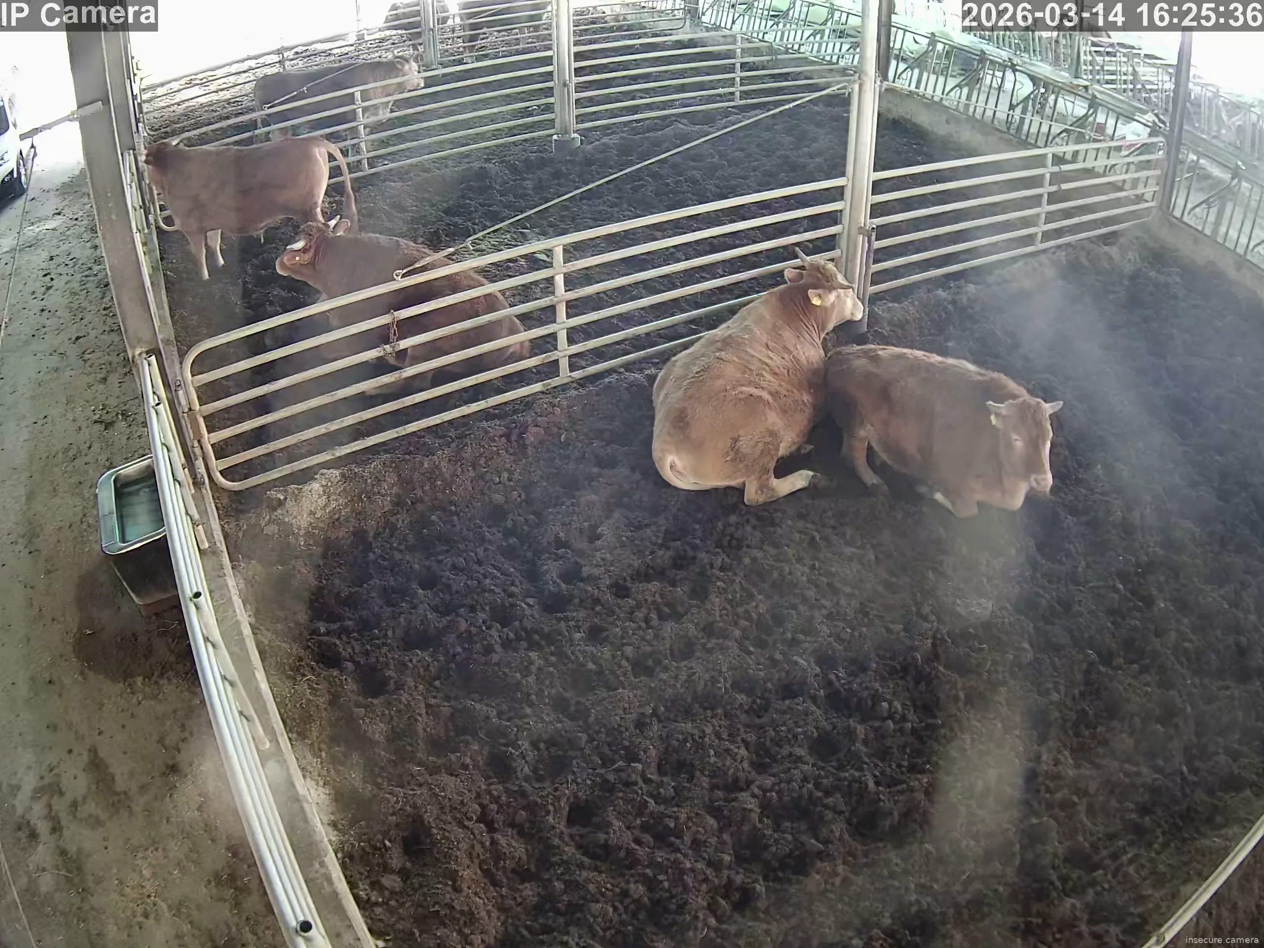 Capture from Mar 14, 2026 at 07:26 AM