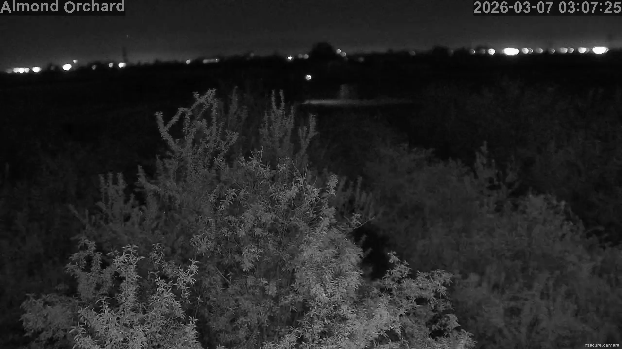 Capture from Mar 07, 2026 at 10:02 AM