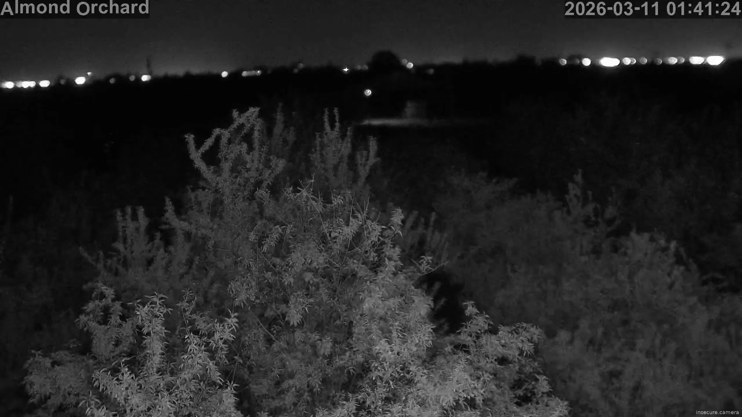 Camera in United States