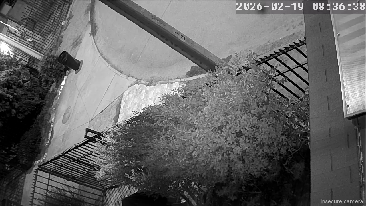 Capture from Feb 19, 2026 at 12:37 AM